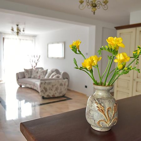 San Grecu House Apartman Făgăraş Kültér fotó